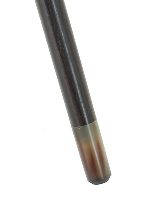 Blonde horn tip
