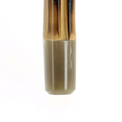 Blonde horn tip