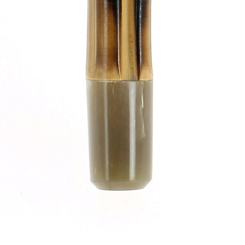 Blonde horn tip