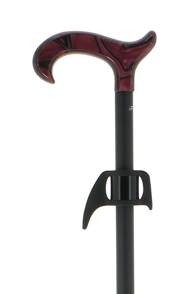 Cane hook with magnet