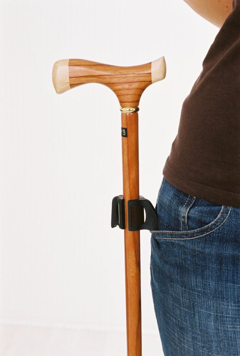 Cane hook with magnet