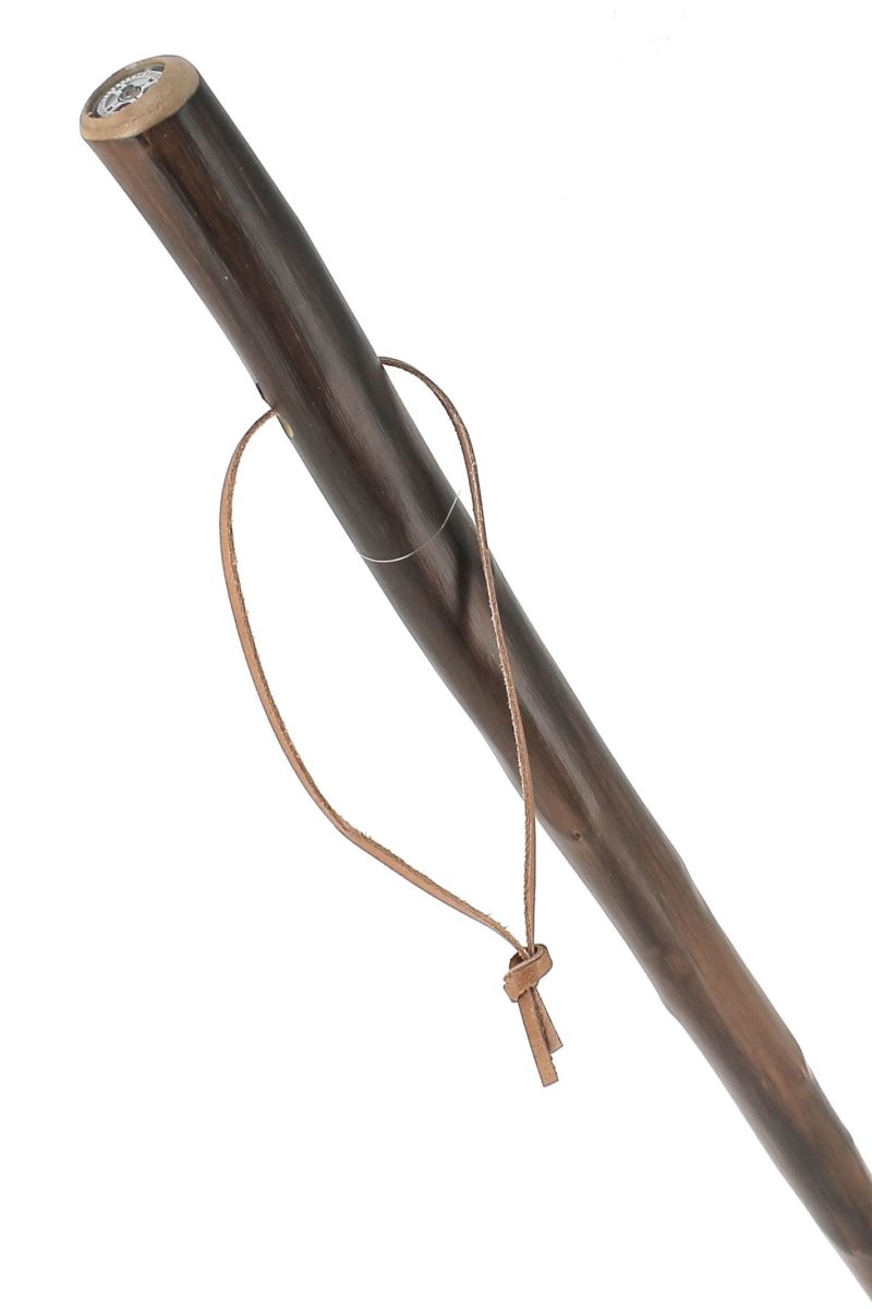 Bâton de marche
