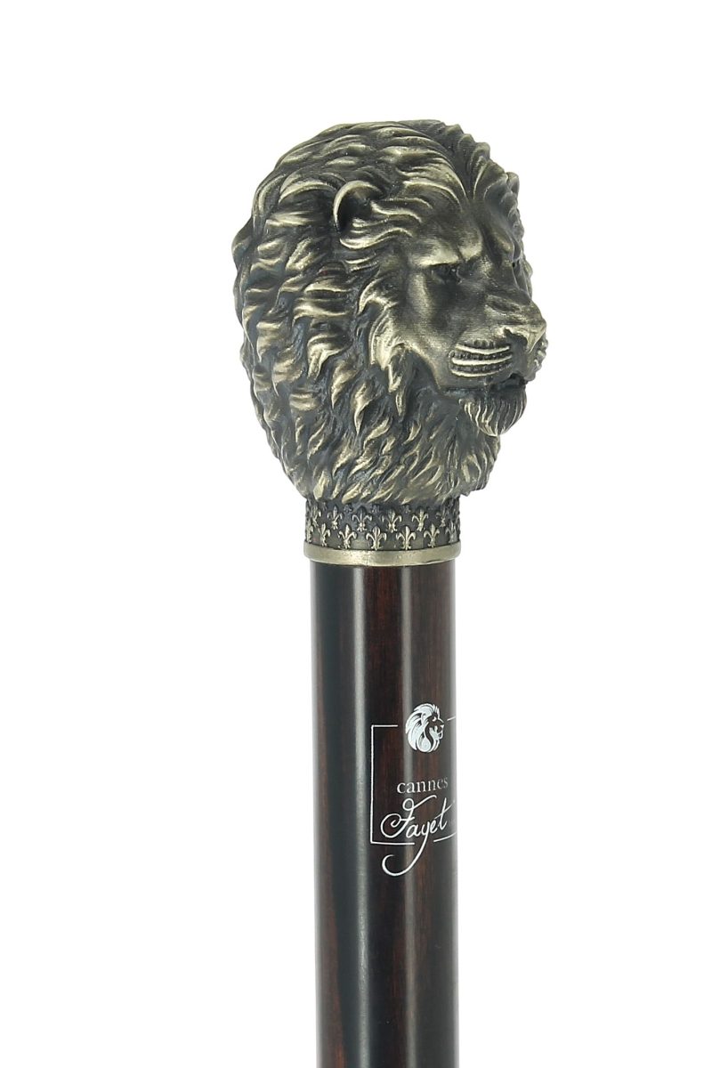 lion bronze vieilli