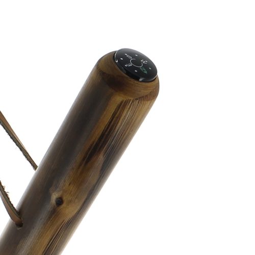 Sword walking stick with compass