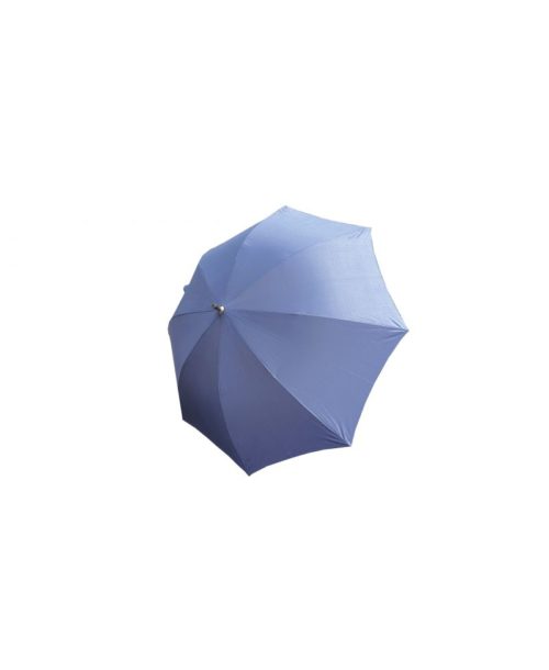 cane umbrella blue