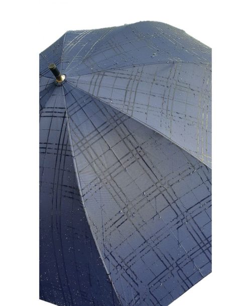 cane umbrella blue