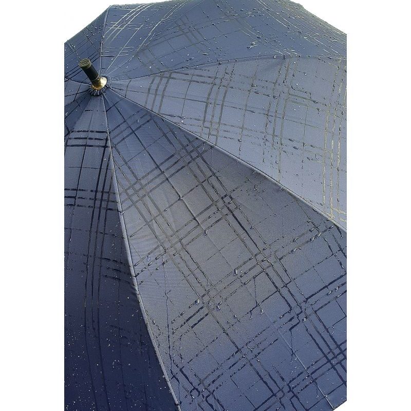 parapluie canne bleu