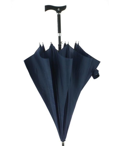 cane umbrella blue